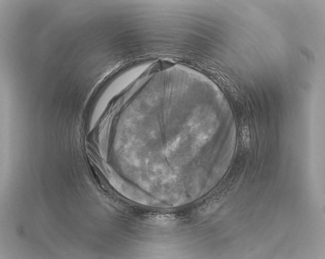 X0000115040304200912071115