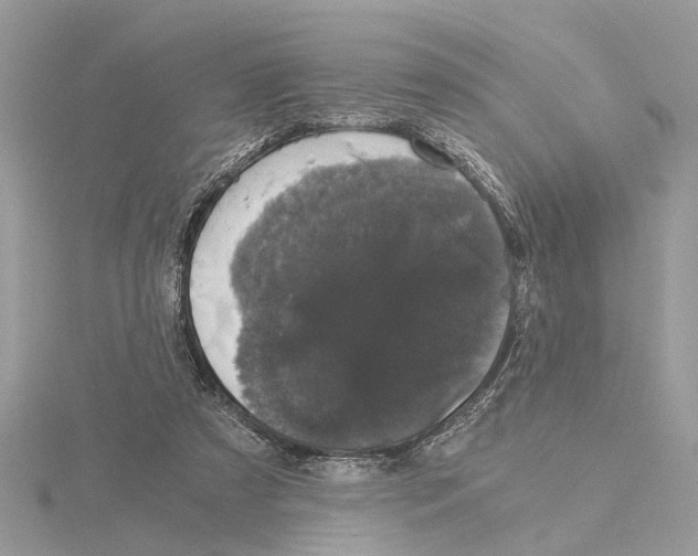 X0000115040305200912071115