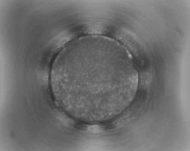 X0000115040309200912071115