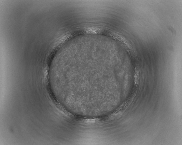 X0000115040314200912071115