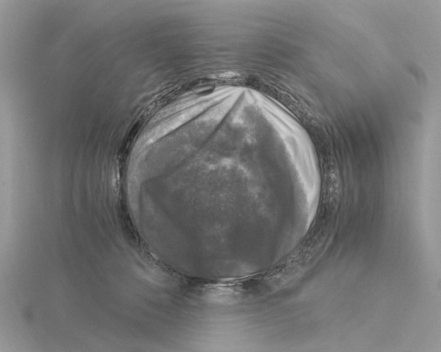 X0000115040320200912071114