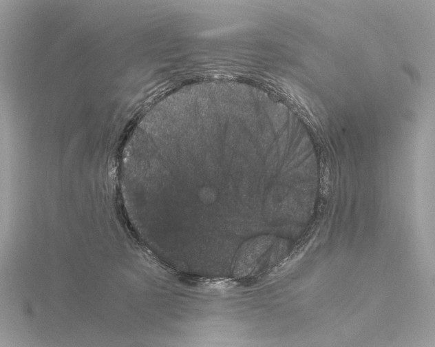 X0000115040321200912071114