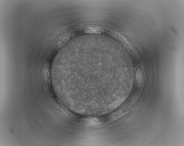 X0000115040322200912071114