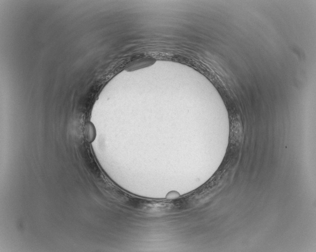 X0000115040323200912071114