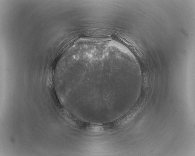 X0000115040325200912071114