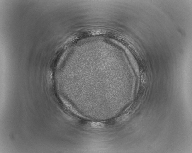 X0000115040327200912071114