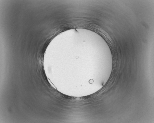 X0000115040329200912071114