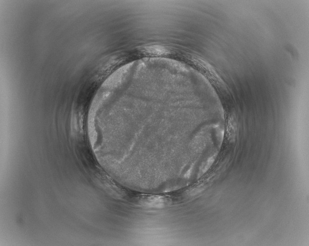 X0000115040330200912071114