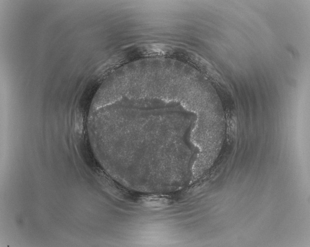 X0000115040331200912071114