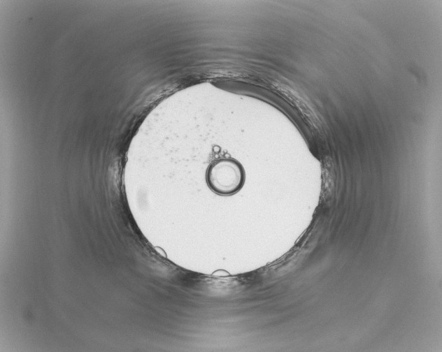 X0000115040333200912071114