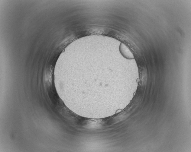 X0000115040334200912071114