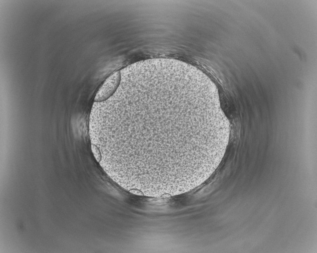 X0000115040335200912071114