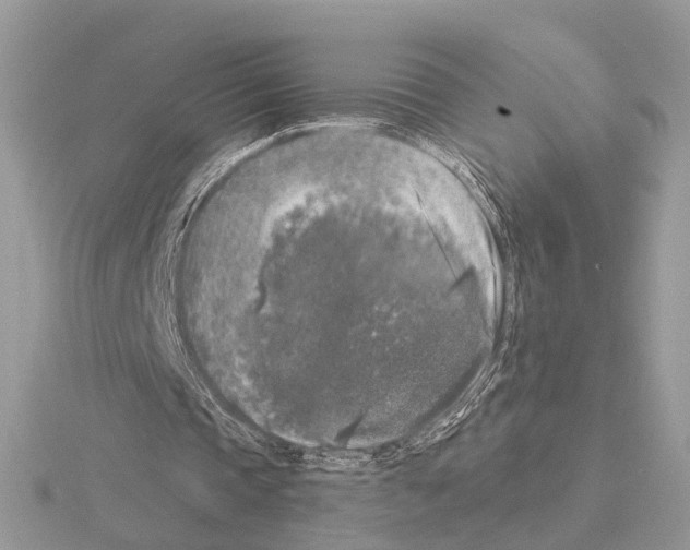 X0000115040337200912071114