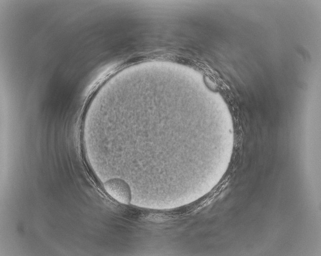 X0000115040341200912071114