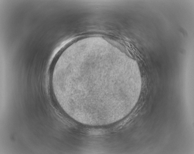 X0000115040342200912071114