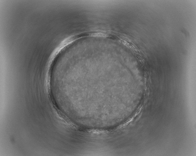 X0000115040343200912071114