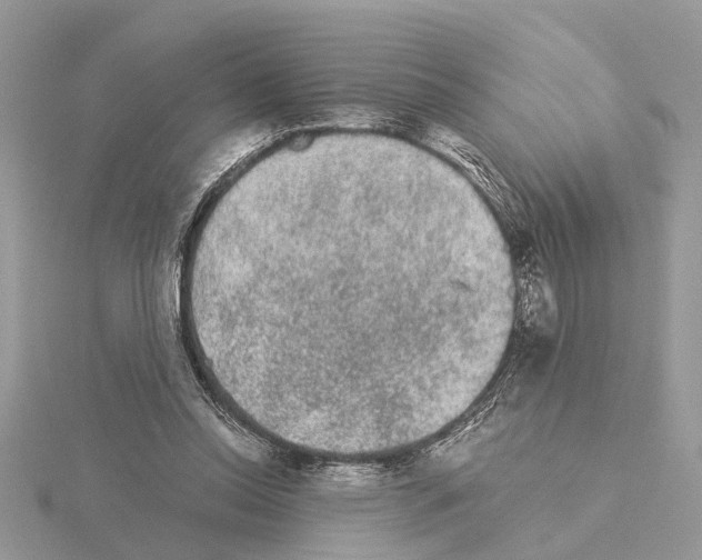 X0000115040350200912071114