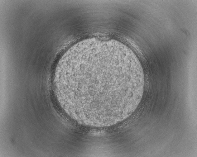 X0000115040354200912071114