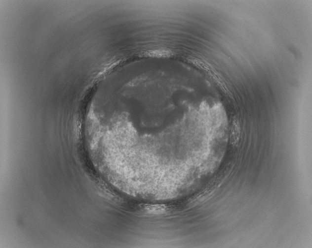 X0000115040355200912071114