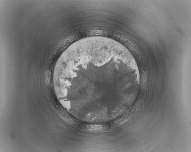 X0000115040361200912071114