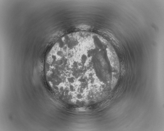 X0000115040365200912071114