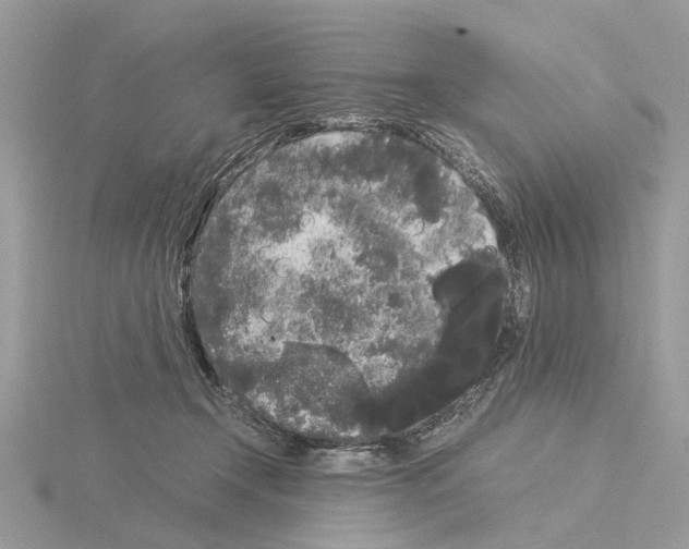 X0000115040366200912071114