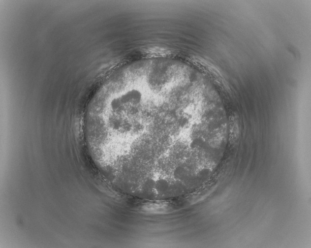 X0000115040369200912071114