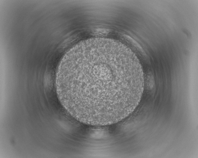 X0000115040370200912071114