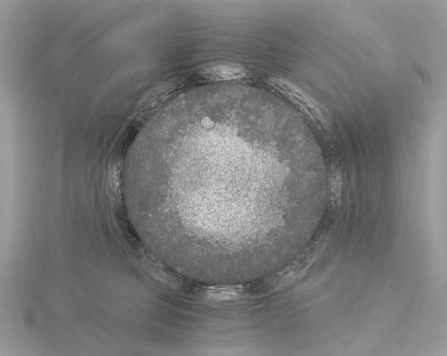 X0000115040373200912071114