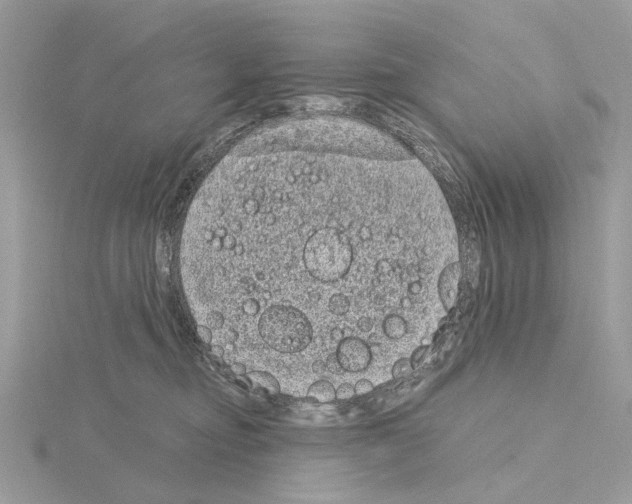 X0000115040374200912071114