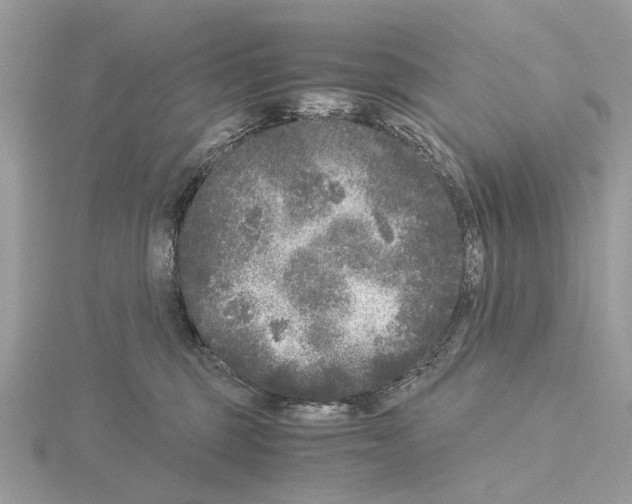 X0000115040375200912071114