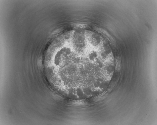 X0000115040377200912071114