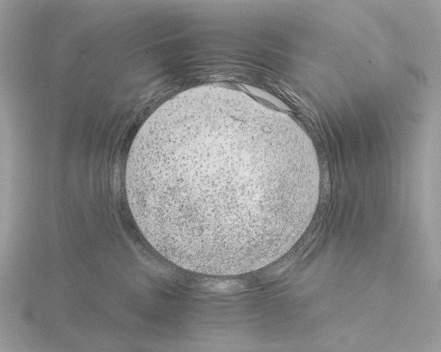 X0000115040379200912071114