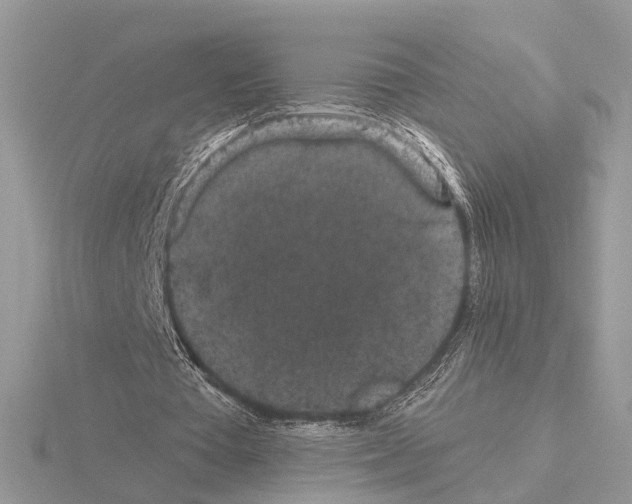 X0000115040385200912071114