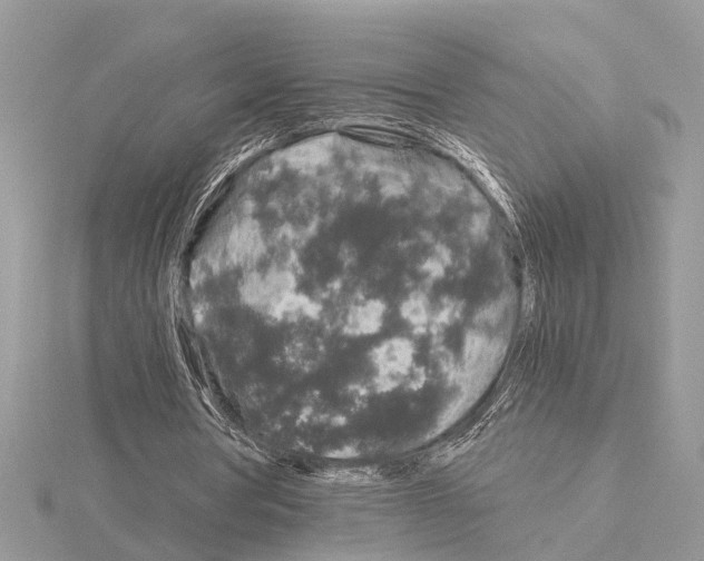 X0000115040386200912071114