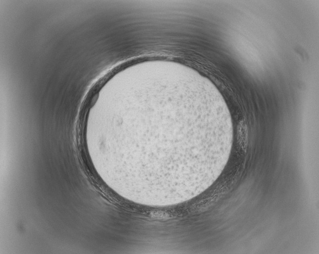 X0000115040388200912071114