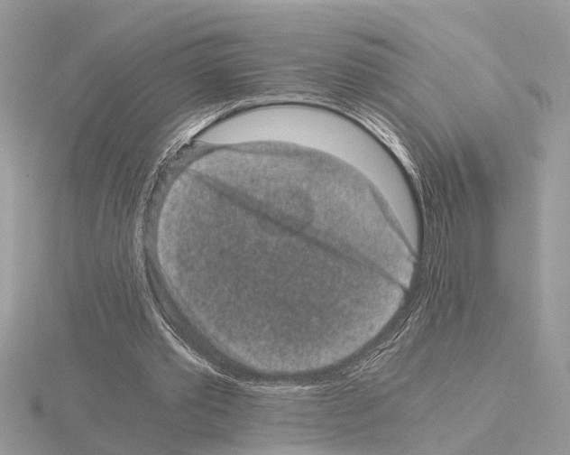 X0000115040389200912071114