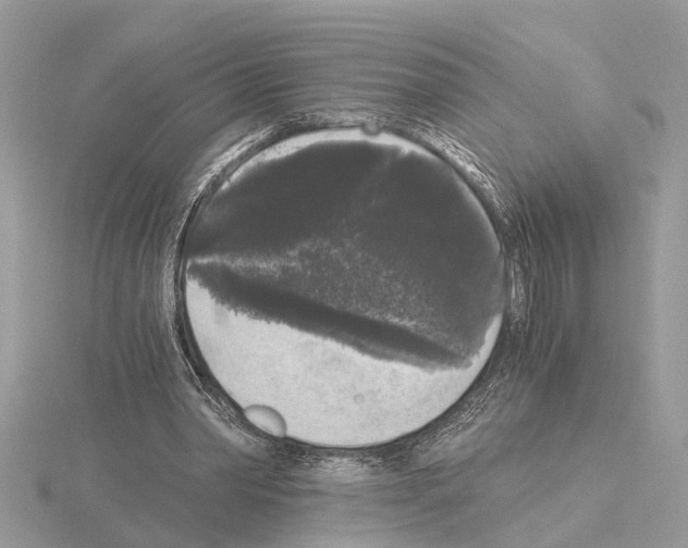 X0000115040390200912071114