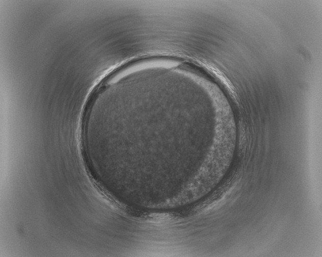 X0000115040391200912071114