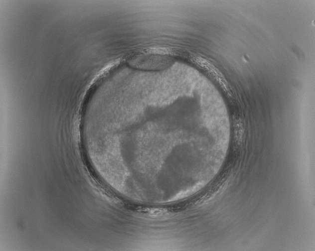 X0000115040395200912071113