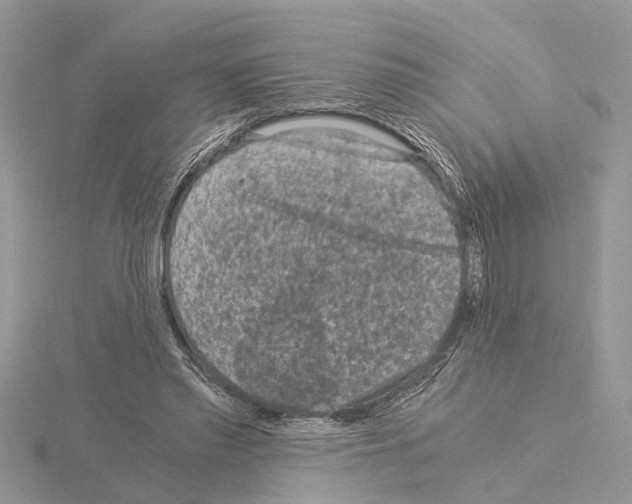 X0000115040397200912071113