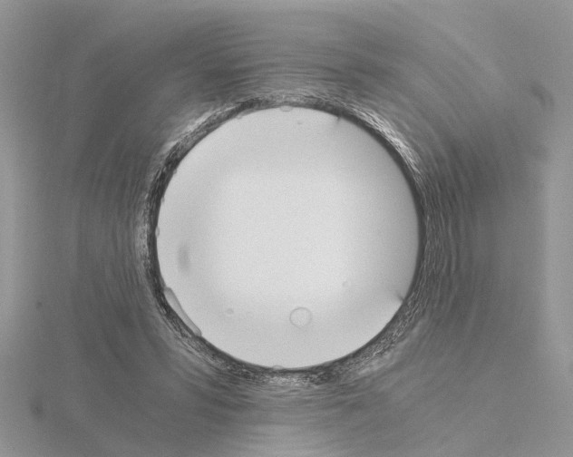 X0000115040399200912071113