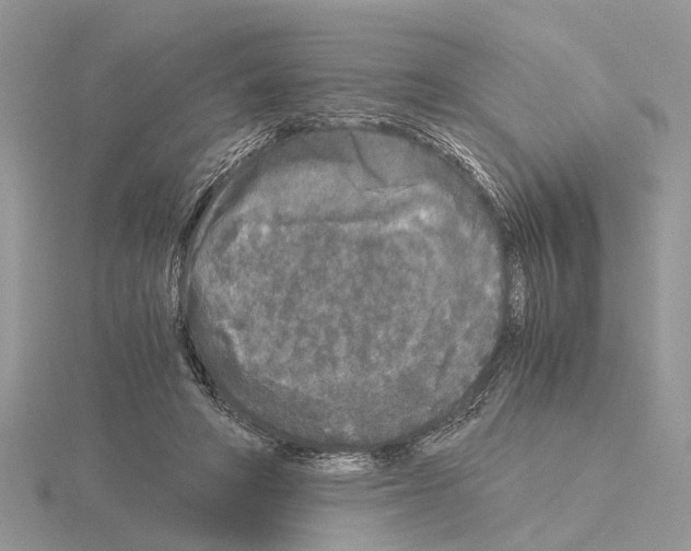 X0000115040402200912071113