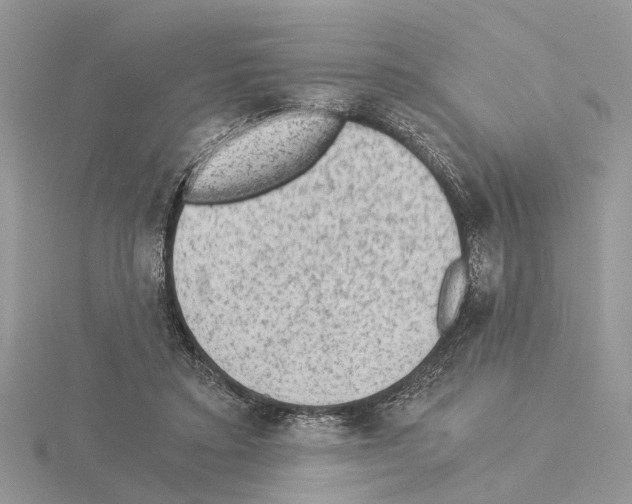 X0000115040403200912071113