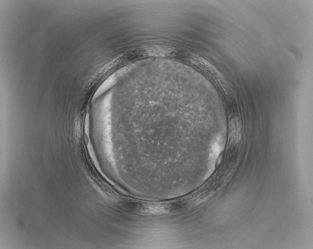 X0000115040405200912071113