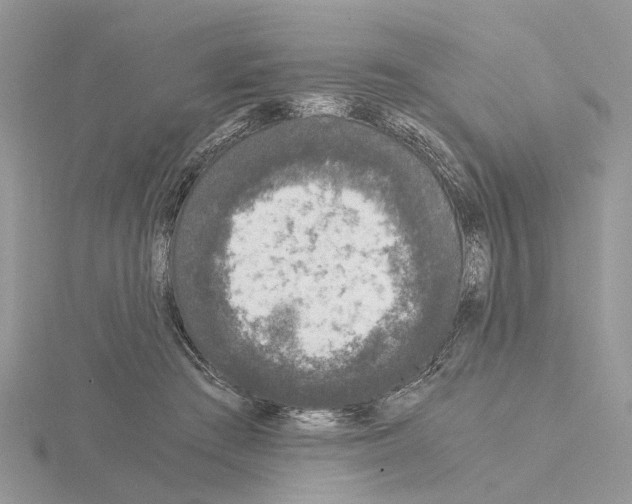 X0000115040409200912071113