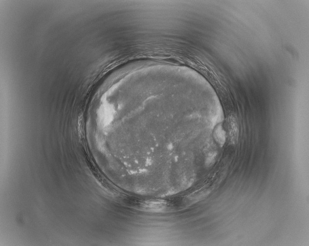 X0000115040410200912071113