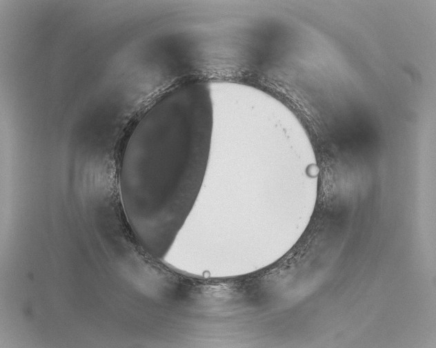 X0000115040411200912071113