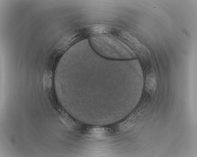 X0000115040413200912071113