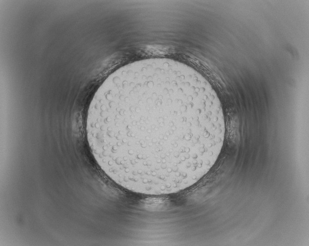 X0000115040418200912071113